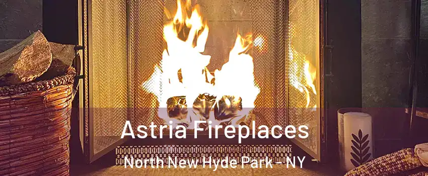 Astria Fireplaces North New Hyde Park - NY