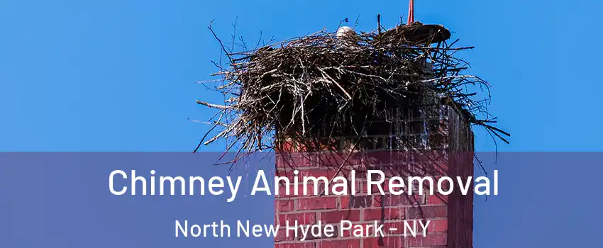  Chimney Animal Removal North New Hyde Park - NY