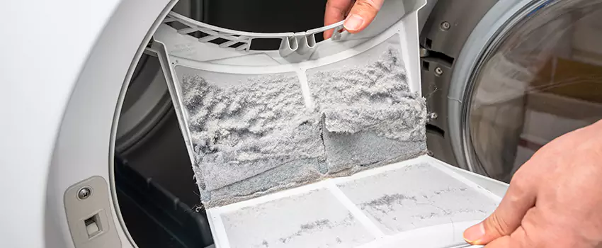 Best Dryer Lint Removal Company in North New Hyde Park, New York