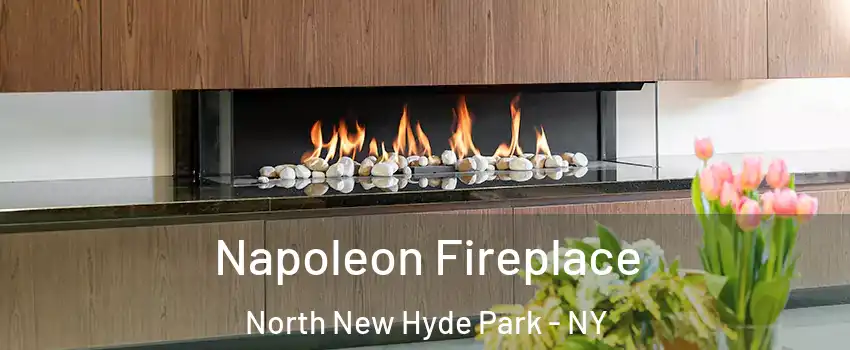  Napoleon Fireplace North New Hyde Park - NY