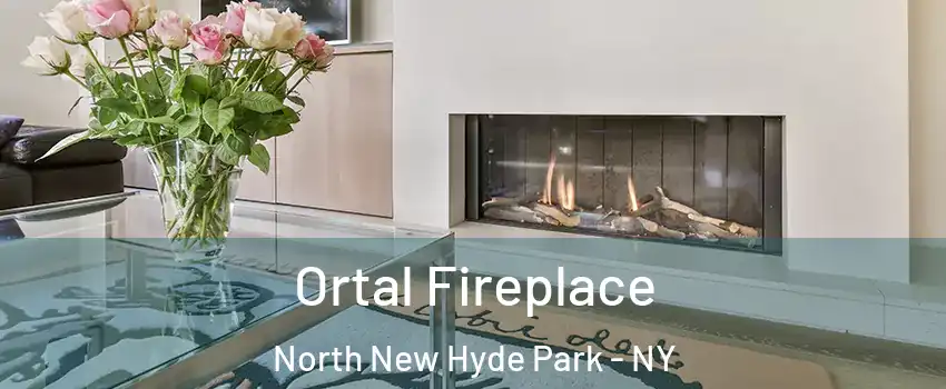  Ortal Fireplace North New Hyde Park - NY